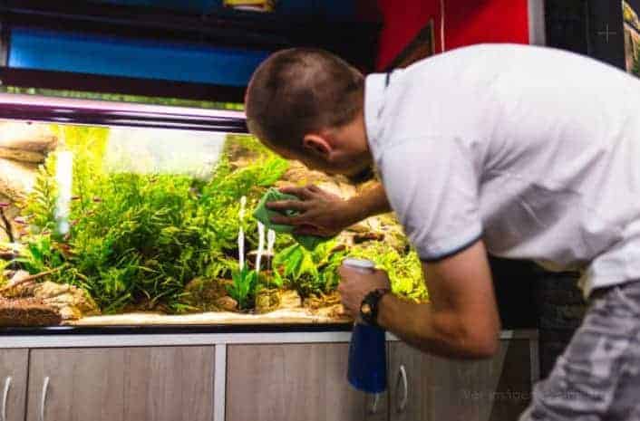 Clean a fish tank glass