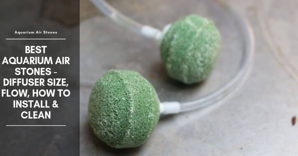 Aquarium Air Stone Setup, Best Air Stone, and How to Clean