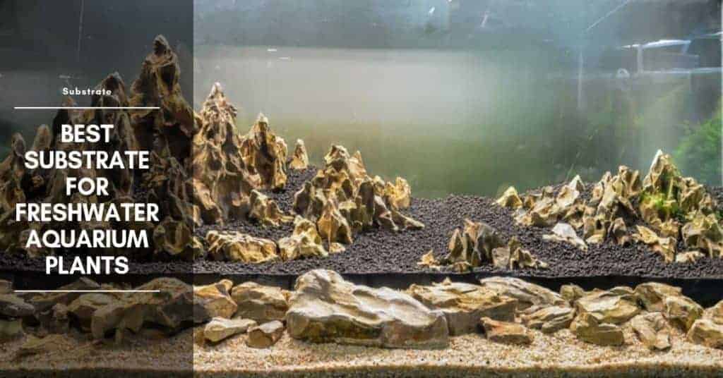 Best Substrate For Freshwater Aquarium Plants TheAquariumAdviser