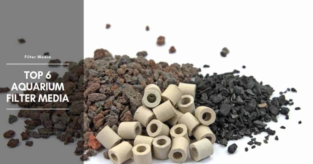 Top 6 Filter Media Pros and Cons (Reviews 2022) The Aquarium Adviser