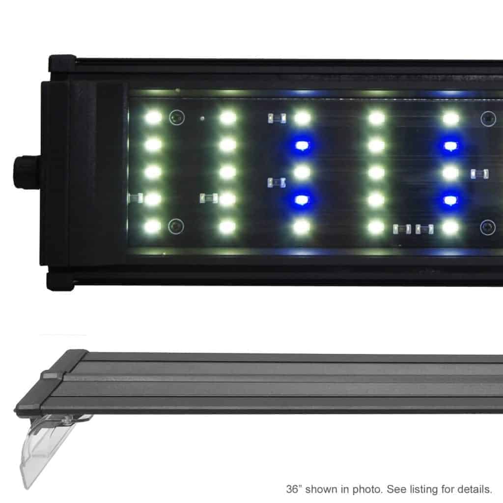 Beamswork DA 6500k LED Light