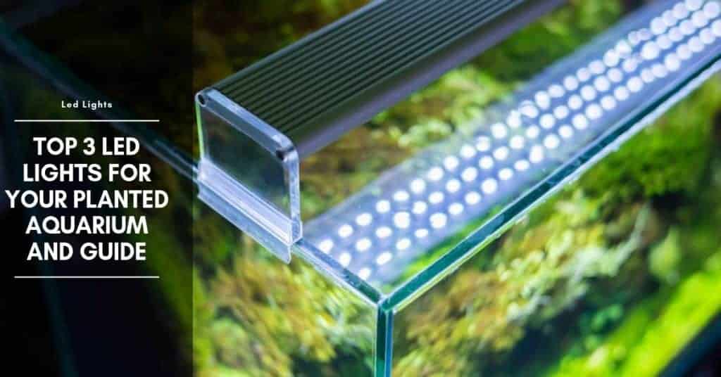 Top 3 LED Lights for Your Planted Aquarium And Guide The Aquarium Adviser