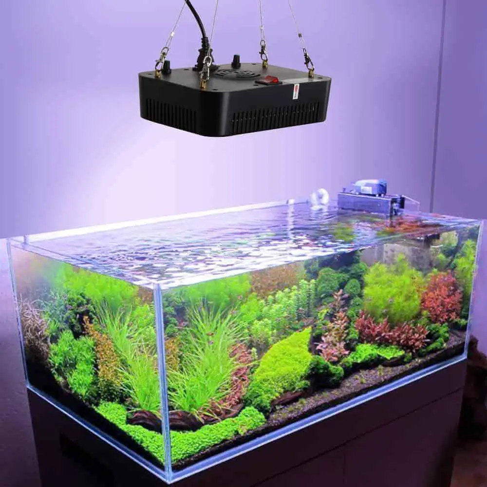 LED light for the planted aquarium
