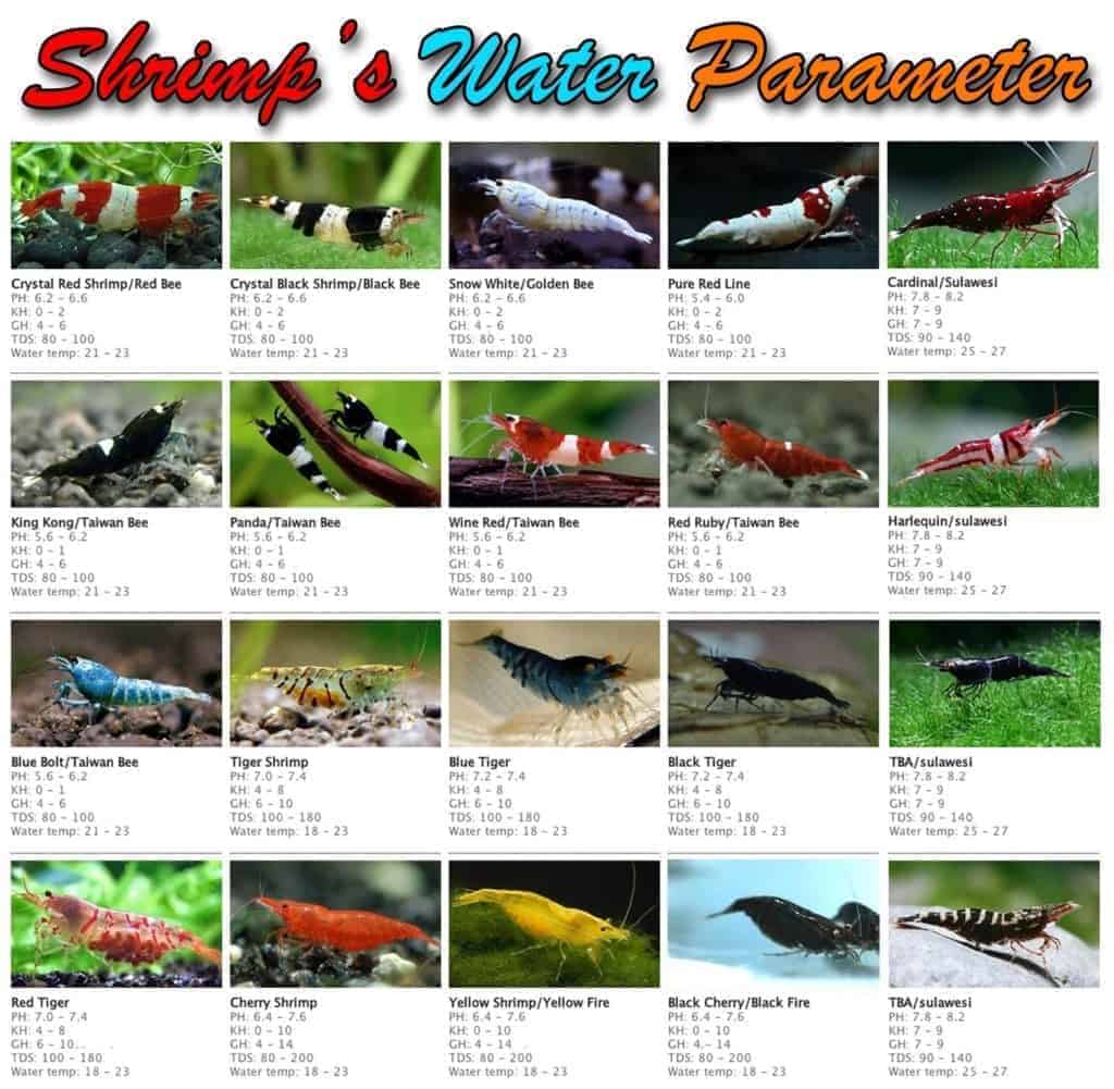 Shrimp Water Parameters