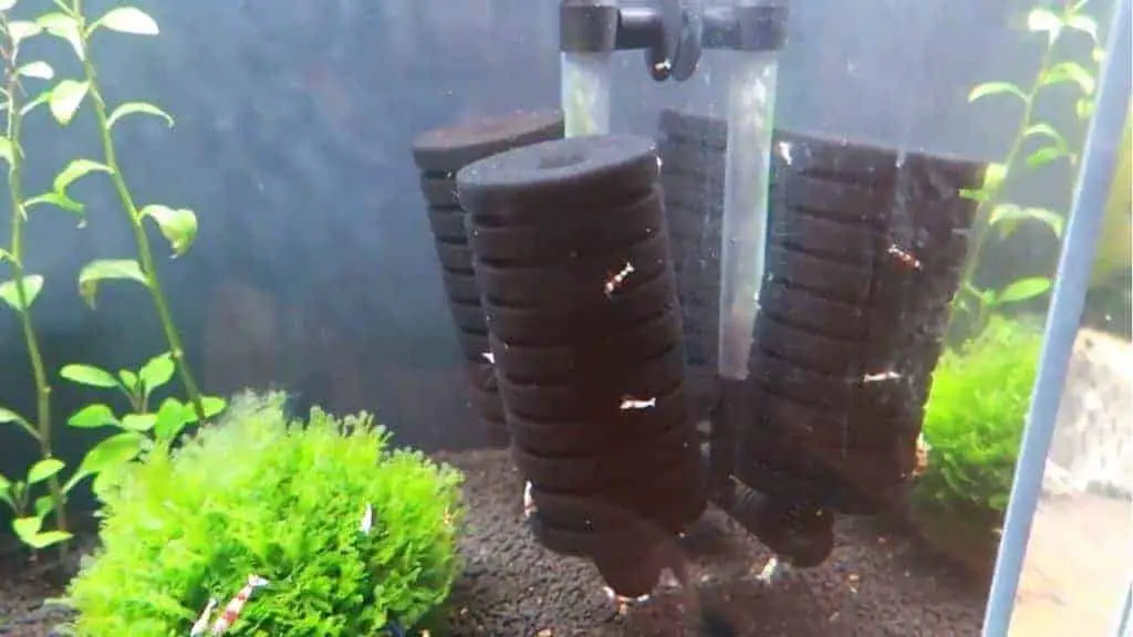 Sponge Filter For Shrimp Tank