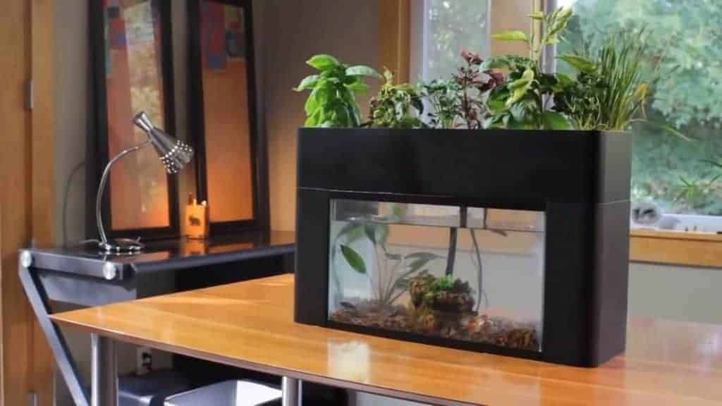 Aquaponics system