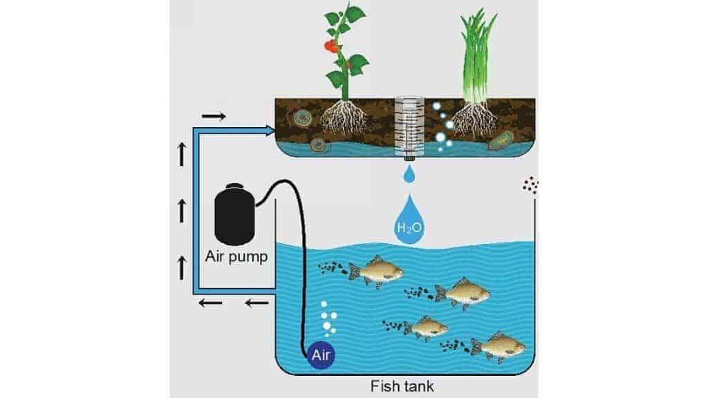 Flood and Drain Unit