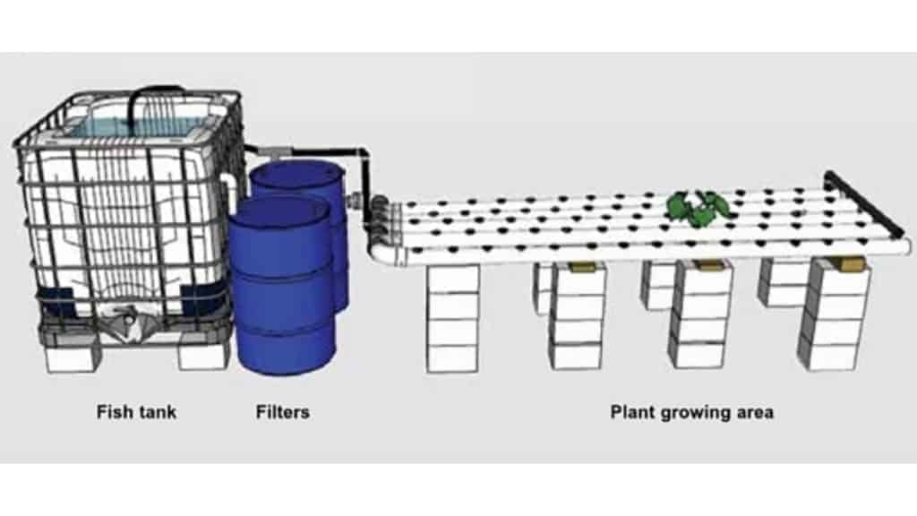 Nutrient Film Technique (NFT)