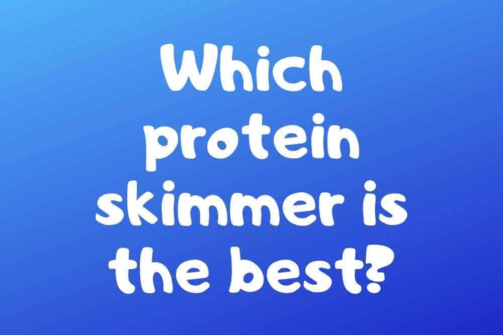 Which protein skimmer is the best?