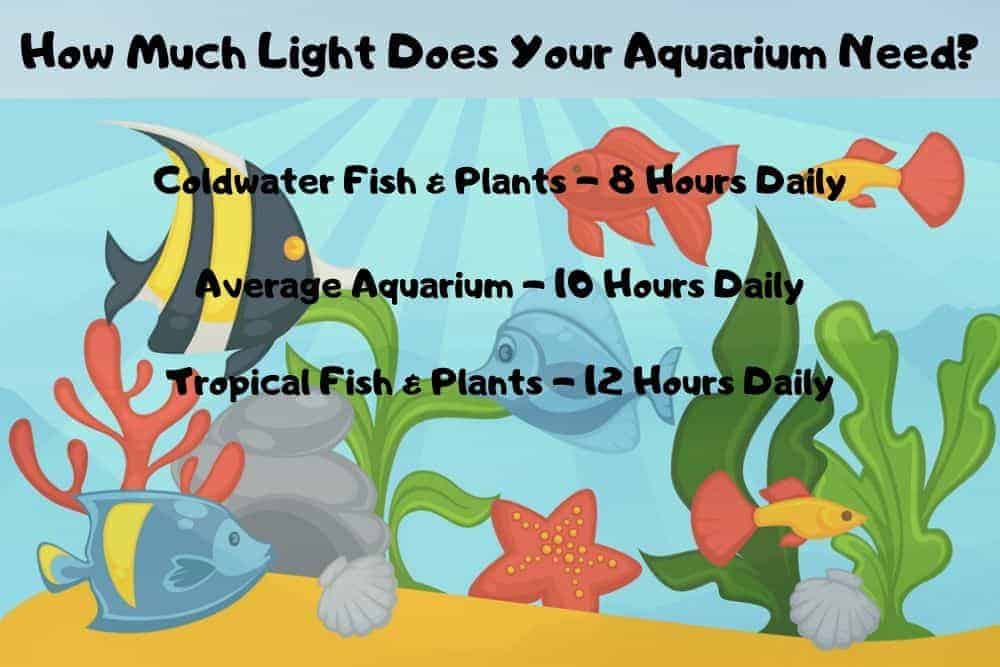 How much light does your aquarium need?