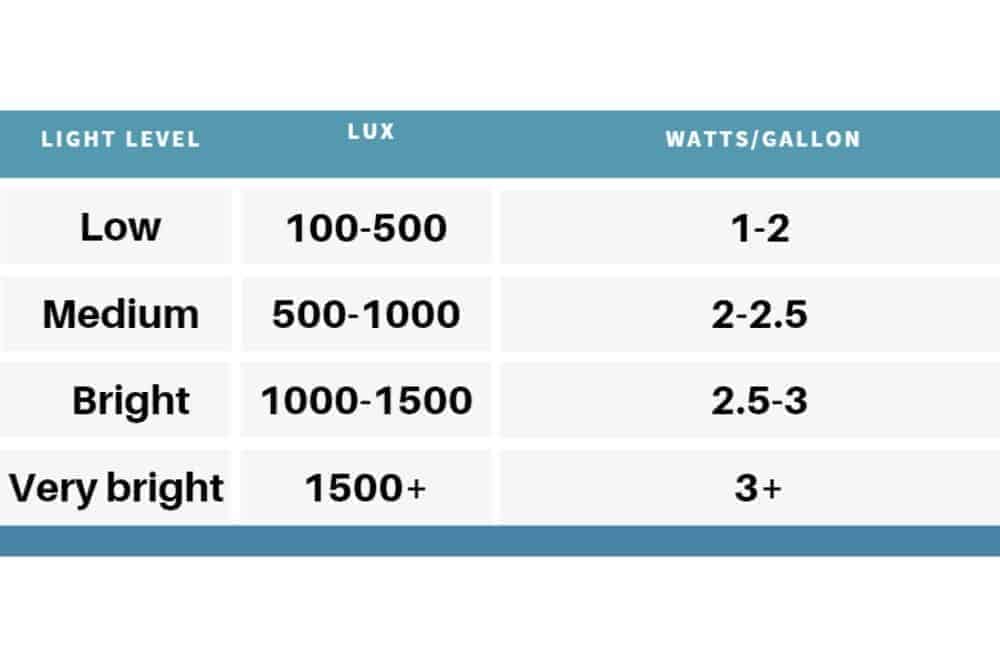 Light level needed for planted tank