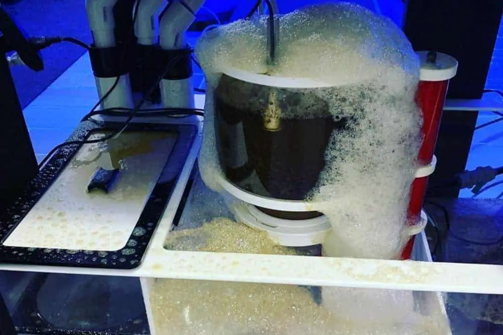 Protein skimmer with a full cup
