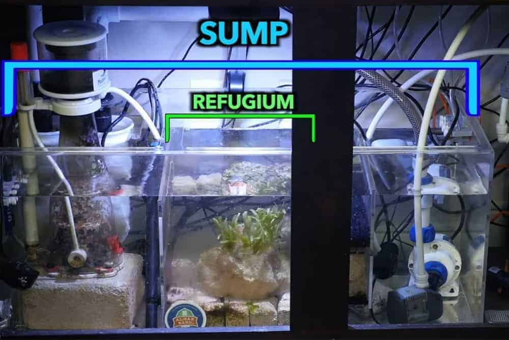 Refugium inside sump