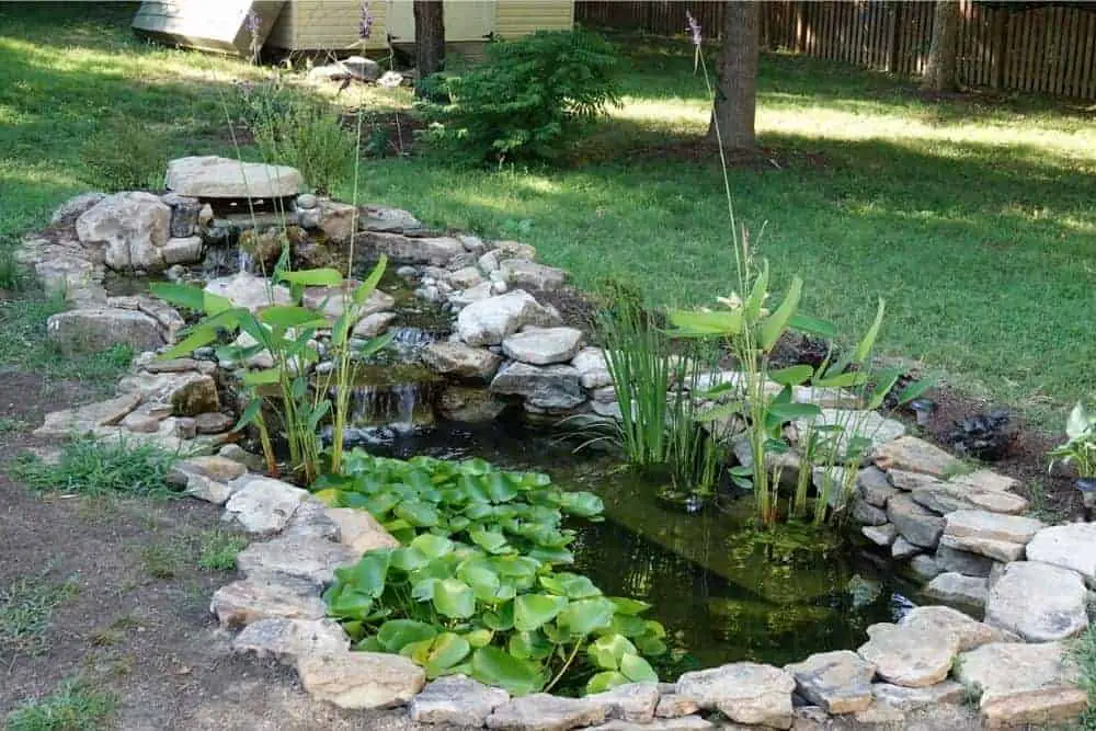 Another type of pond: Flexible pond liner in backyard