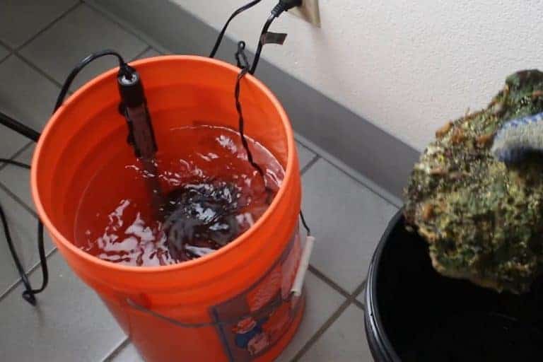 How to Cure Live Rock in 7 Steps The Aquarium Adviser