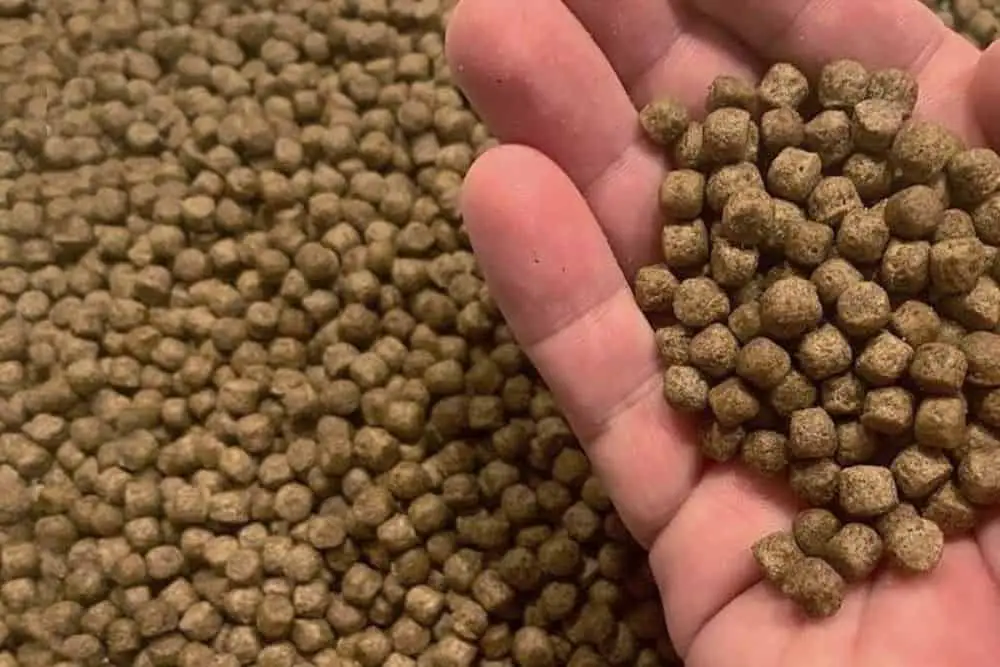 Fish Pellets - high protein source