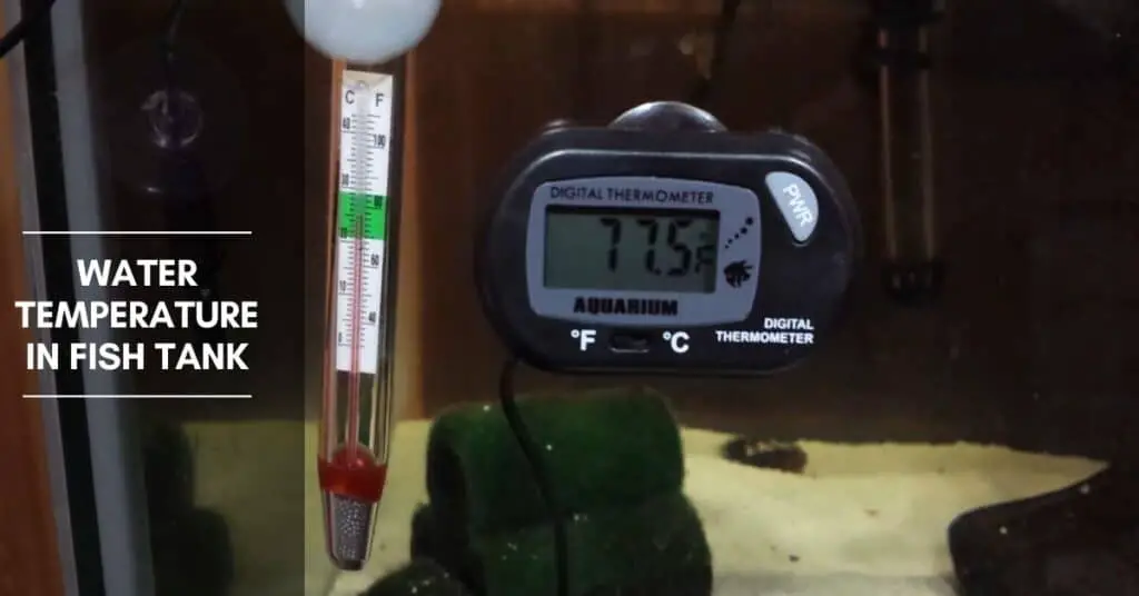 Lower Fish Tank Temperature What is the ideal temperature for a saltwater aquarium