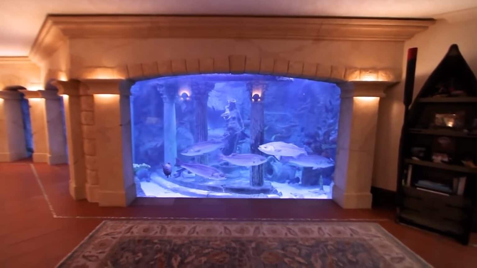 11 Most Amazing Aquarium in The World The Aquarium Adviser