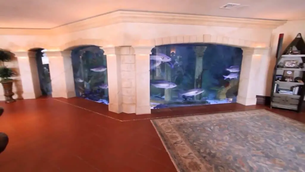 Sal Cannizzaro stunning home aquarium