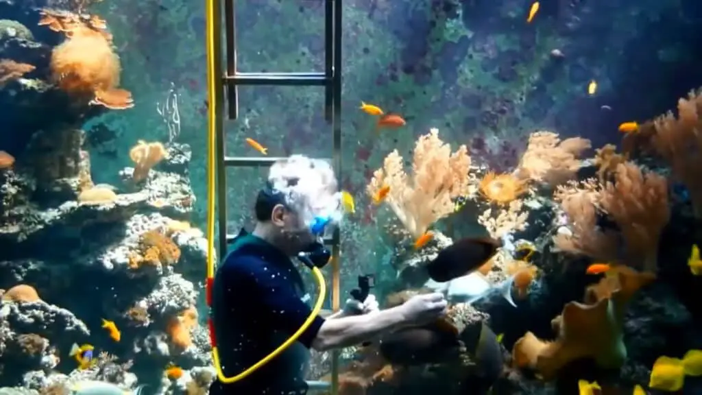 Eli's 10,000-gallon aquarium