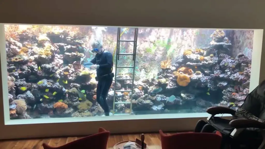 Eli's 10,000-gallon aquarium