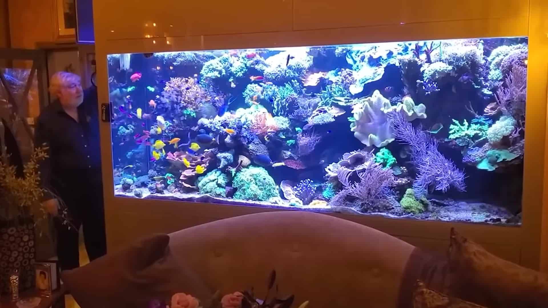 11 Most Amazing Aquarium in The World The Aquarium Adviser