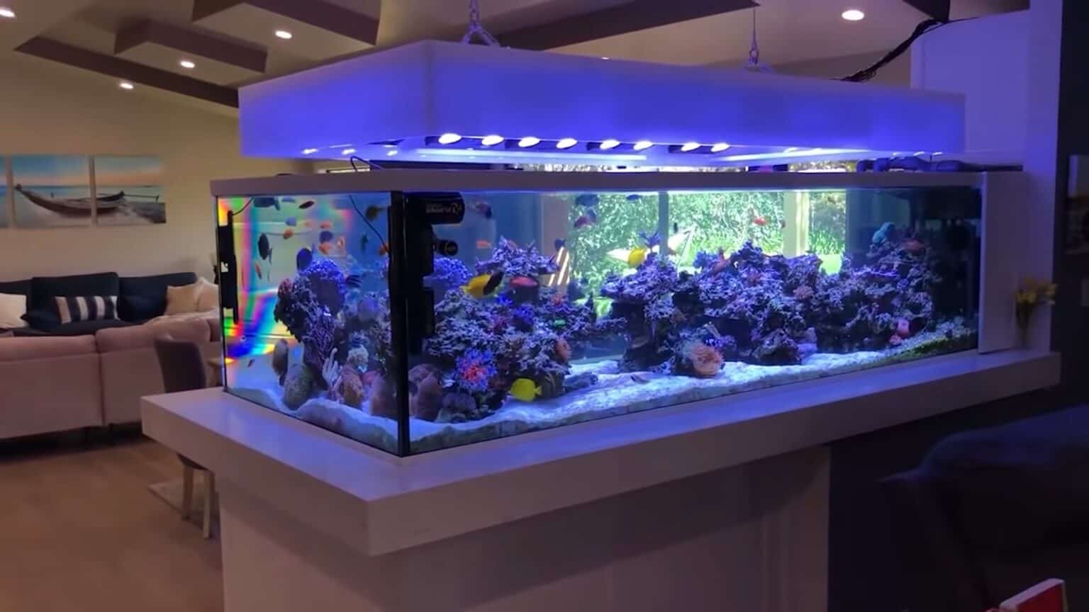 11 Most Amazing Aquarium in The World The Aquarium Adviser