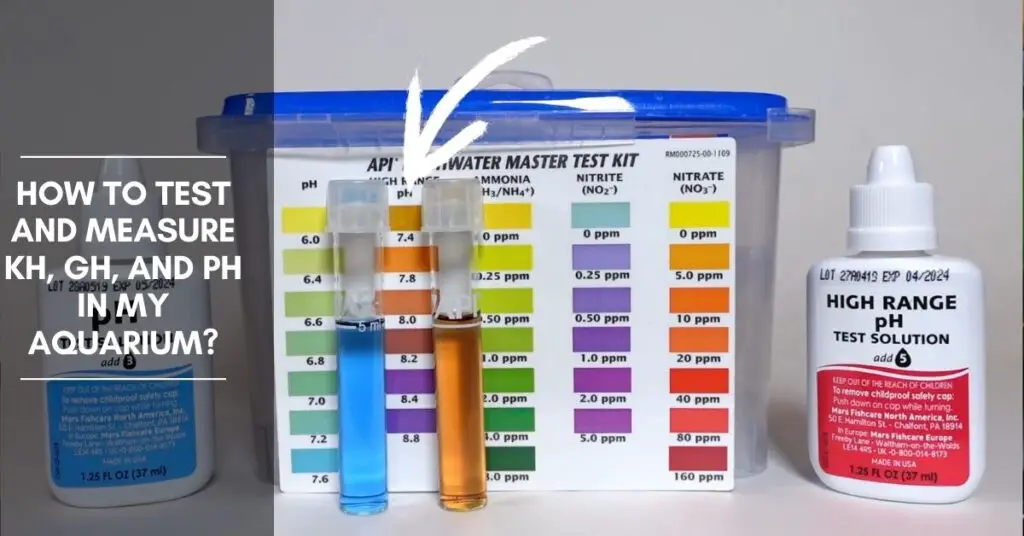 GH in Aquarium How to Raise GH and KH in My Tank?