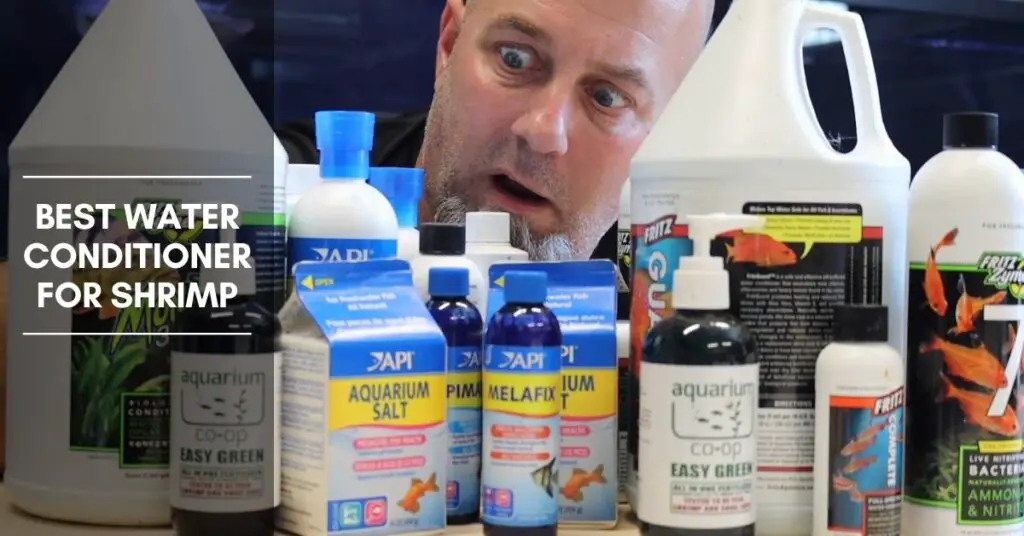 5 Best Water Conditioner for a Shrimp Tank The Aquarium Adviser