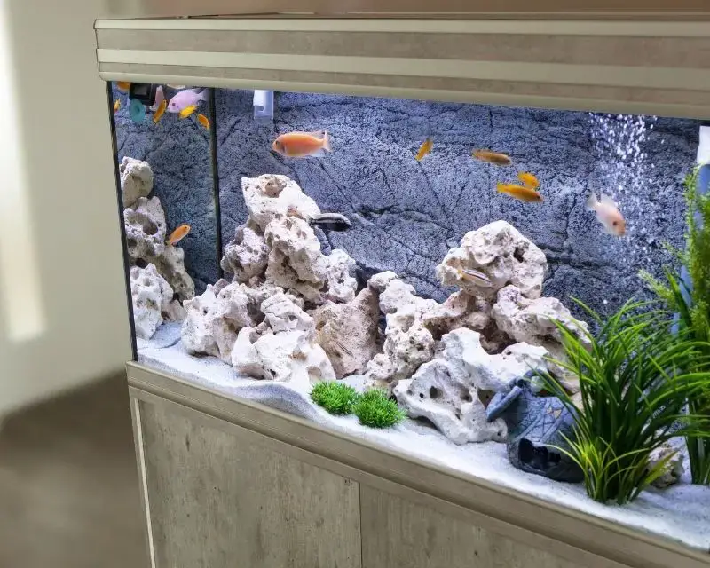 Aquarium