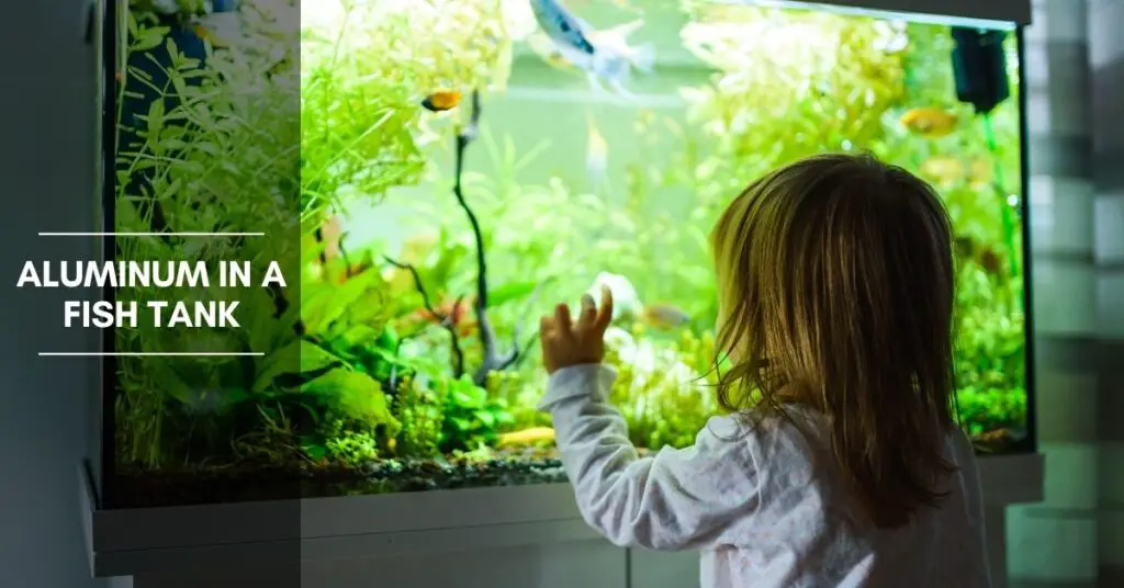 Aluminum in a Fish Tank Is It Safe for Fish Tanks? Is It Toxic to My